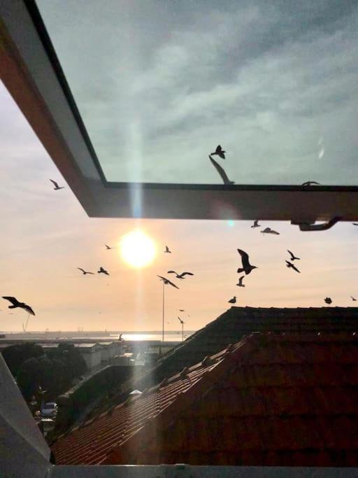 Lobo Do Mar Matosinhos Beach Loft Exteriör bild
