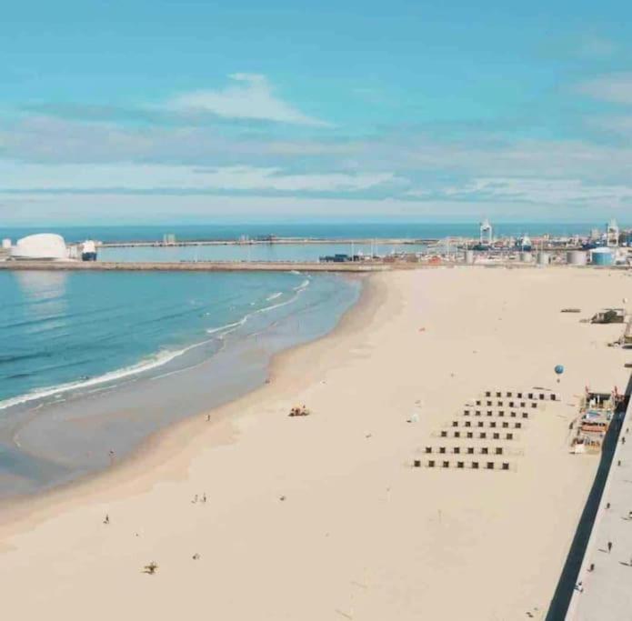 Lobo Do Mar Matosinhos Beach Loft Exteriör bild